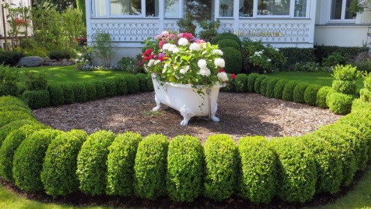 Buchsbaumhecke-Rillenschnitt Ahrensburg Buchsbaumhecke-Rillenschnitt Ahrensburg